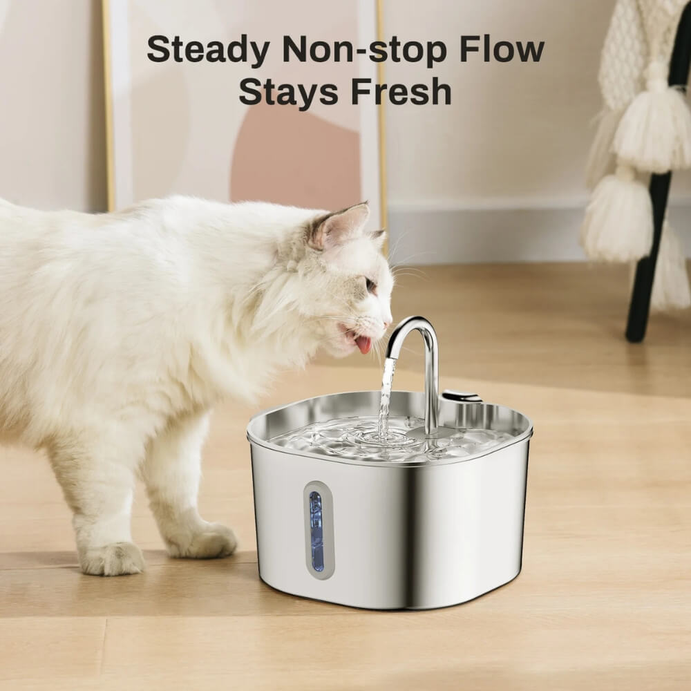 Ultra-Quiet Stainless Steel Cat Water Fountain – 2.2L