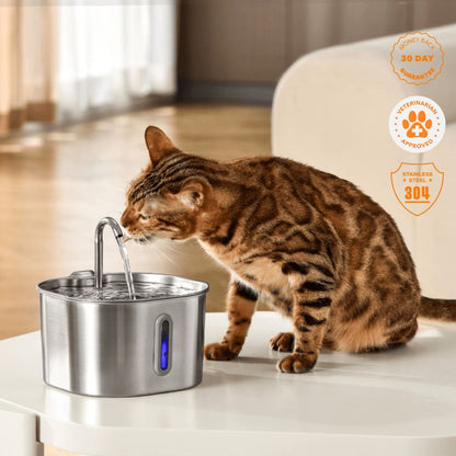 Ultra-Quiet Stainless Steel Cat Water Fountain – 2.2L