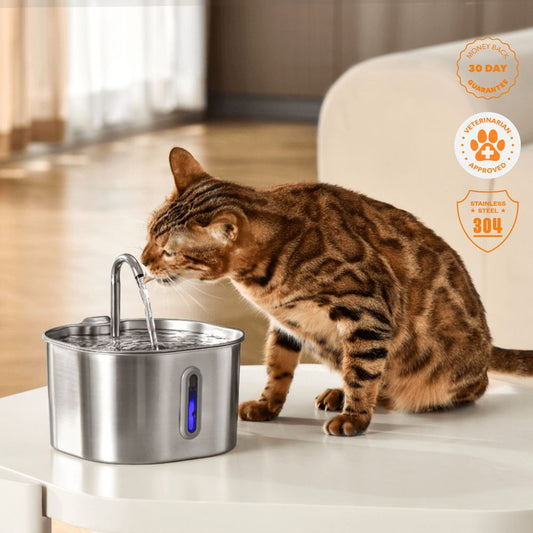 Ultra-Quiet Stainless Steel Cat Water Fountain – 2.2L